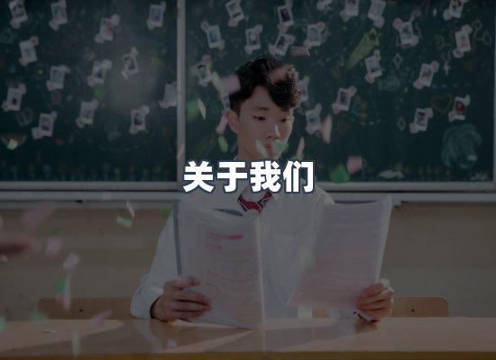 关于我们